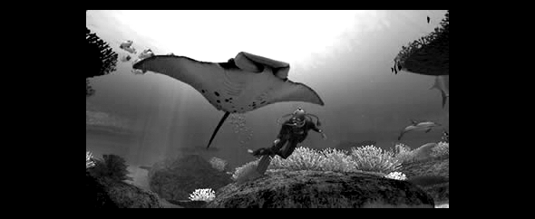 Mantaraybw