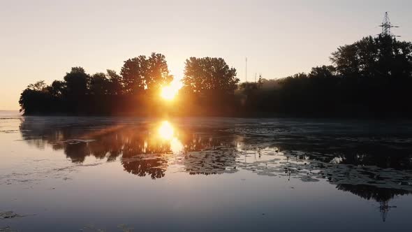 Rays Of The Sun Behind The Trees alt