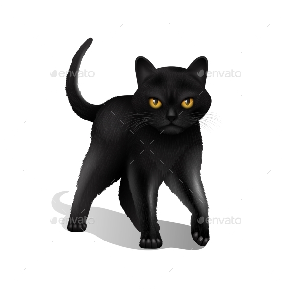 Black Cat Drawing Vectors from GraphicRiver