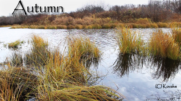 Landscape With Autumn River alt