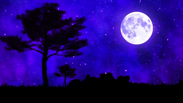 Background of Night Starry Sky Trees and full Moon alt