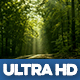 Magical Forest Road - VideoHive Item for Sale