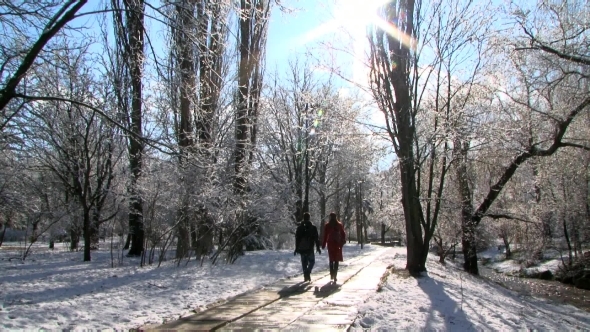 Young Couple Walking In Winter Park