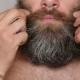 White Man Taking Care Of His Lush Beard  - VideoHive Item for Sale