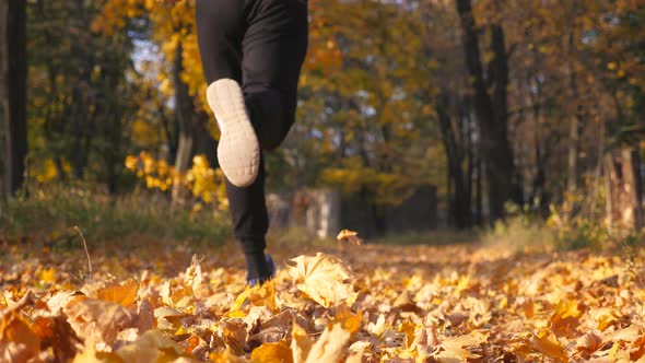 Unrecognizable Sportsman Running in Autumn Park Stepping on Dry Maple Leaves alt