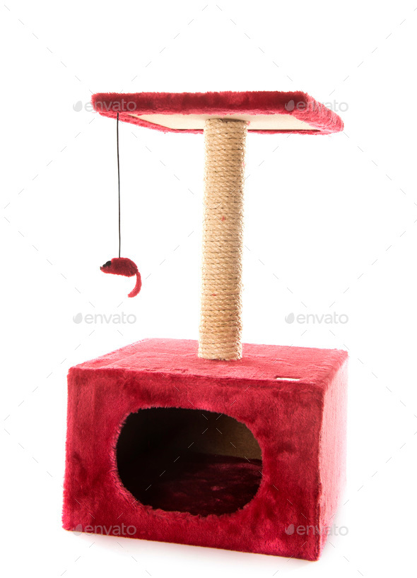 scratching post - Stock Photo - Images