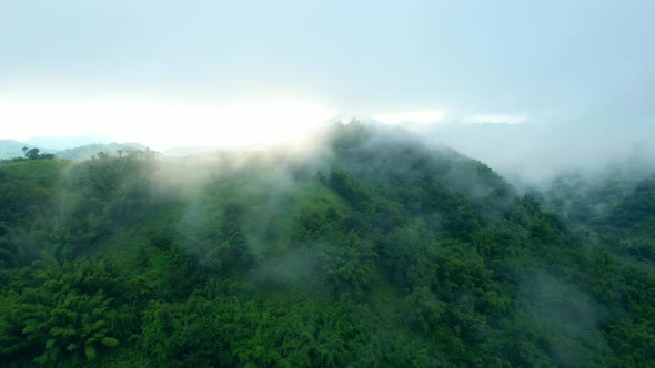 4K Aerial Drone shot flying over beautiful mountain ridge in rural jungle bush forest. alt