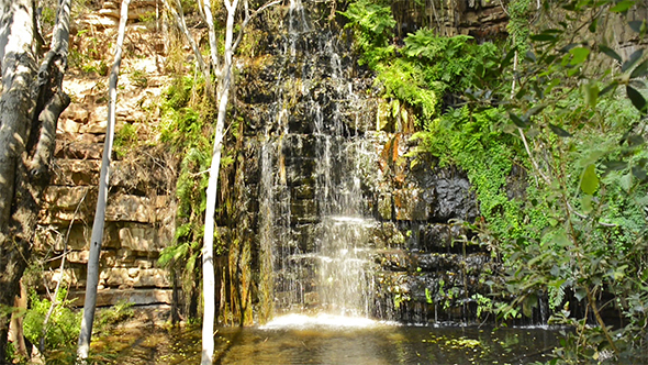 Africa Jungle Waterfall alt