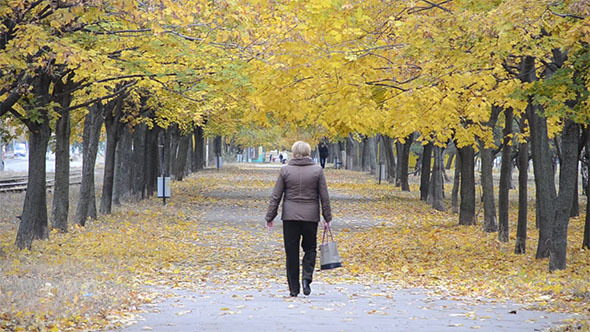 Woman Walking on the Avenue  alt