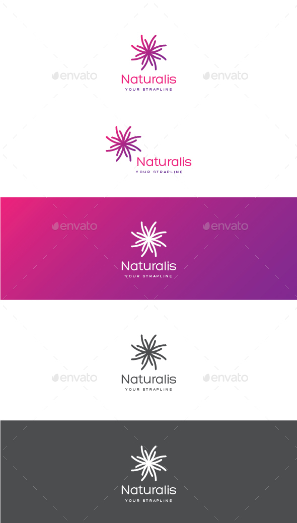 Naturalis Logo - Vector Abstract