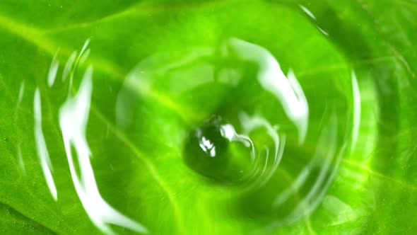 Super Slow Motion Shot of Water Drop Falling Into Water Surface With Fresh Green Leaf at 1000Fps alt