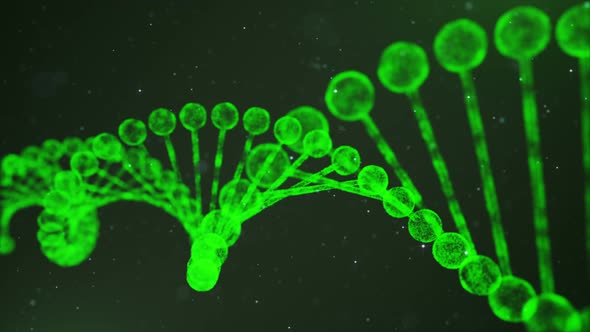 Green DNA Chain Loop