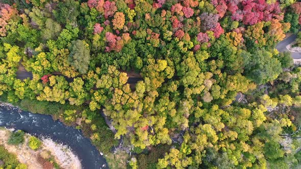 Aerial view looking down at river and colorful forest in Autumn alt