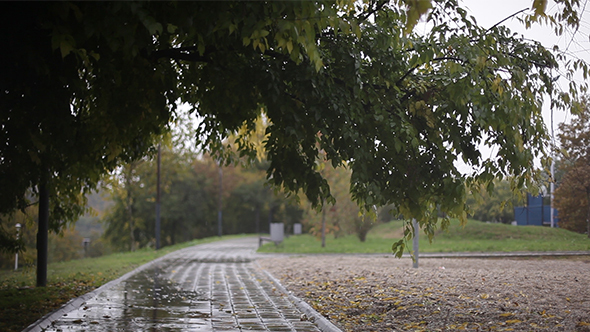 The Alley of the Rain