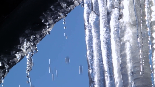 Several Huge Icicles Thawing At Spring Time