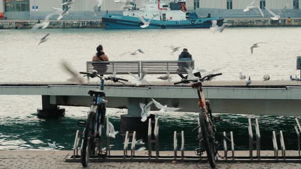 The Tourists Rest Surrounded By Seagulls in the Old Port of the City of Barcelona alt