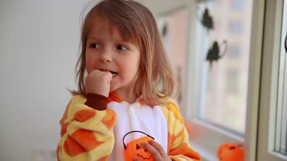 a Child in a Halloween Costume with Candies