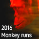 2016 Fire Monkey Running - VideoHive Item for Sale