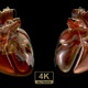 Heart Of Glass - VideoHive Item for Sale