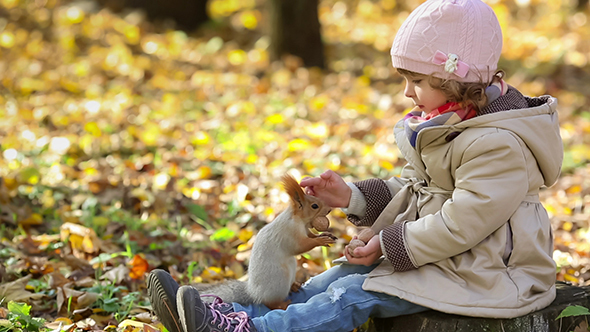 Child Feeds A Little Squirrel