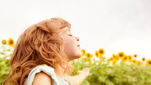 Happy Child Enjoying In Spring Sunflower Field