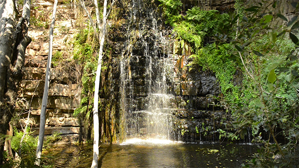 Africa Jungle Waterfall alt