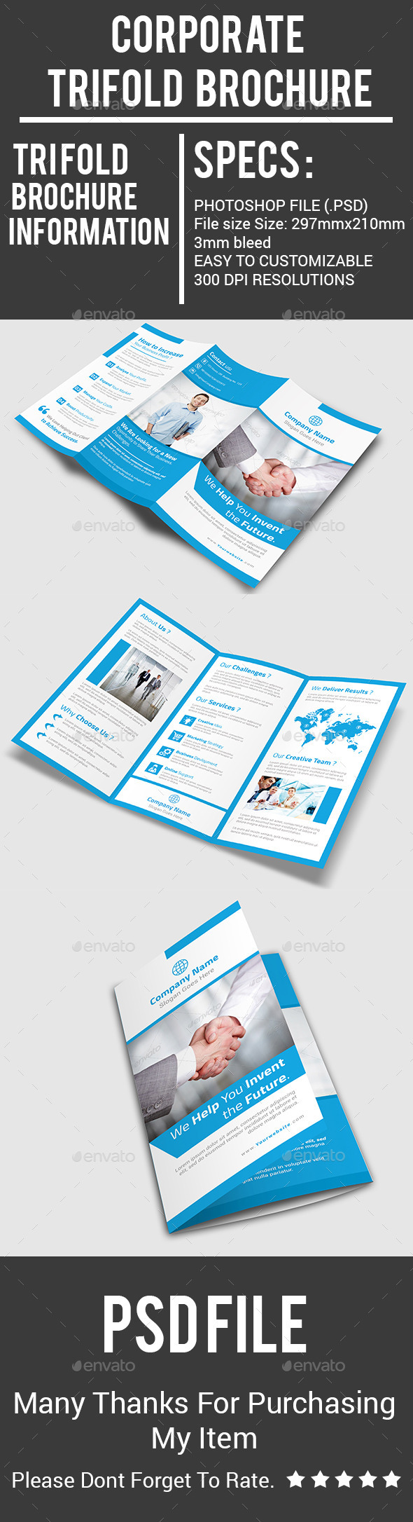 Corporate Trifold Brochure - Corporate Brochures