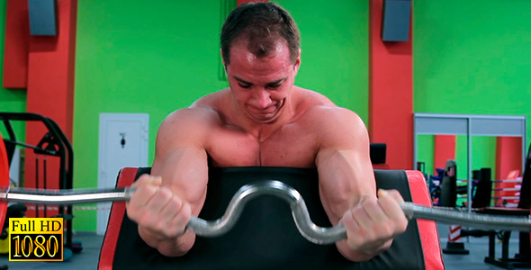 Athletes Train Biceps Sitting on the Bench