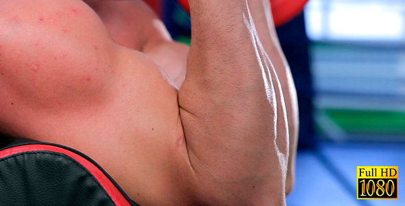 Bodybuilder Trains Biceps Sitting on the Bench