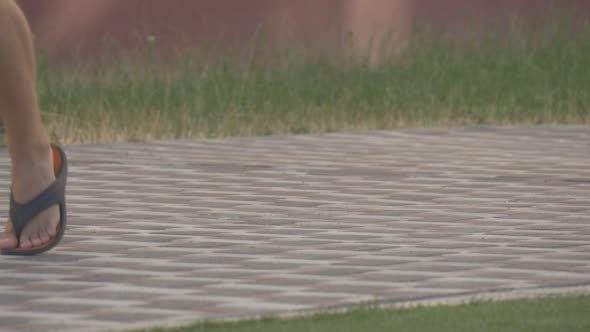 Kid on a Bicycle alt