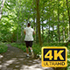 Young Man Running Through Trees In Forest - VideoHive Item for Sale