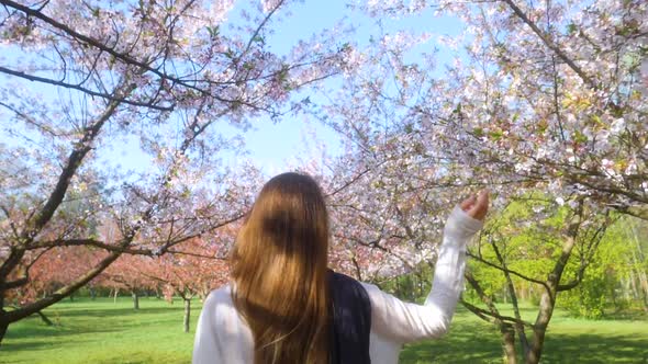 Girl walking in Japanese Garden with blooming trees. Young woman with long hair enjoys spring alt
