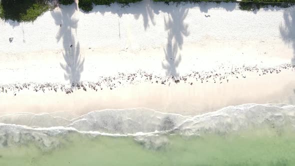 Vertical Video of the Coast of Zanzibar Island Tanzania Slow Motion alt