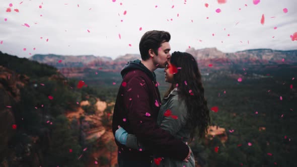 Rose Petals Falling 4K on Black and Green Screen alt