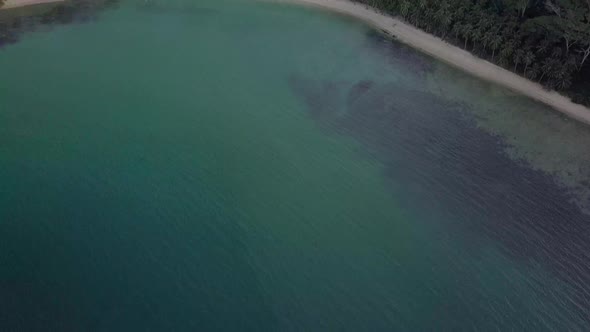 Wide aerial view of calm white sand beach by natural wild jungle in the Philippines - camera tilting alt