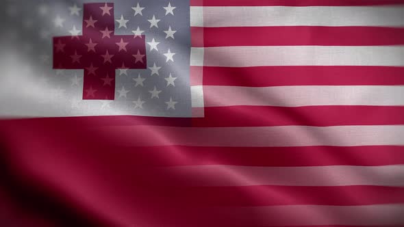 USA Tonga Flag Loop Background 4K