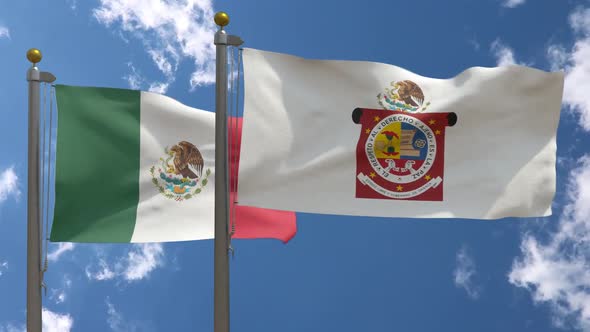 Mexico Flag Vs Oaxaca Flag On Flagpole alt