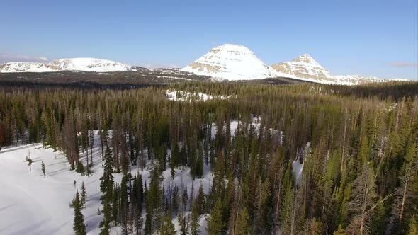 Flying view over a frozen forest in the mountains alt