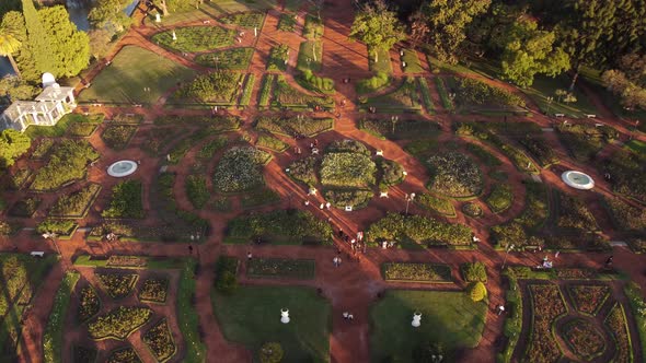 People walk at dusk in Rosedal garden park with beautiful symmetric rose art, Buenos Aires in Argent alt