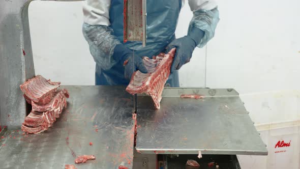 Cut Carcasses of Pork. Closeup of Brush, Spray the Carcass of Pig Meat alt
