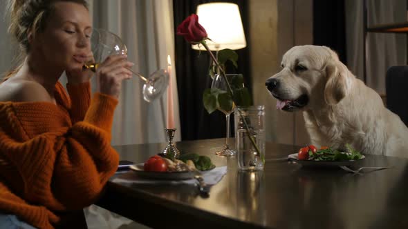Romantic Dinner for Two Persons Female and Dog Pet alt