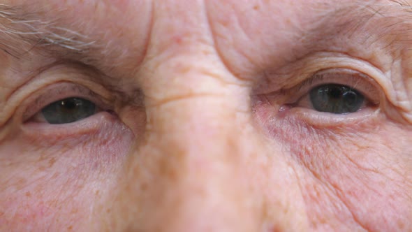 Portrait of Elderly Woman Watching Pensive Into Camera. Close Up of Wrinkled Female Face alt