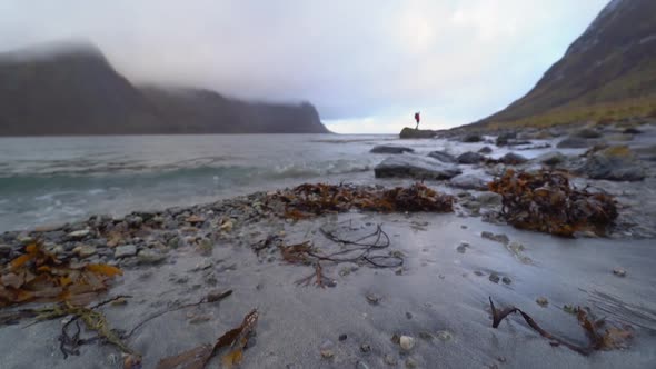 Lone Hiker Standing On Rock By Fjord alt