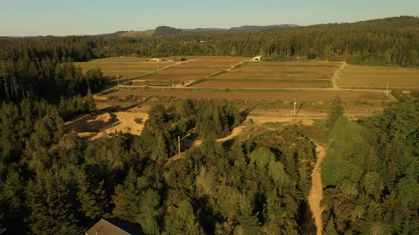 Empty cranberry bogs in spring time in Bandon, Oregon, USA. Drone shot, descending over a residentia alt