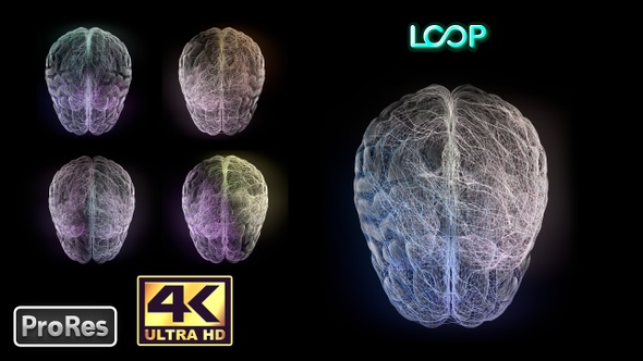 Brain Neuronal Activity - Top - 4K