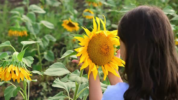 Sunflower, Nice Girl Holding Flower in Her Hand.
