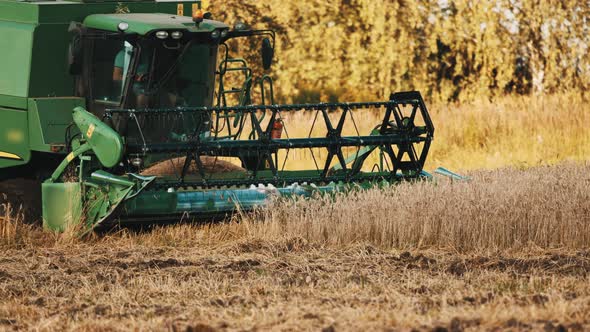 Grain Header Of A Combine Harvester Ready To Cut The Crops In The Golden Wheat Field alt