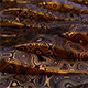 Waves - VideoHive Item for Sale
