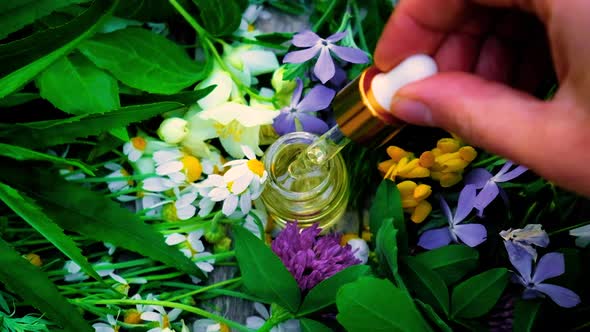 Homeopathy is a Tincture of Medicinal Herbs in a Small Bottle alt