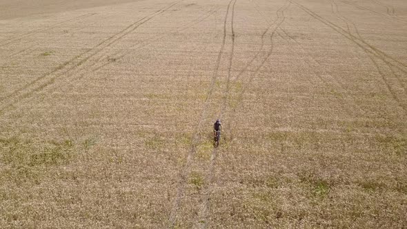 Aerial Tracking Shot of a Man Riding a Bicycle in the Centre of a Wheat Field During the Day. alt